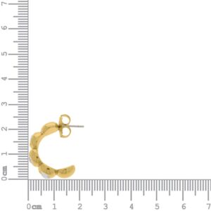 Brinco Argola Preciosa Dourada com Strass